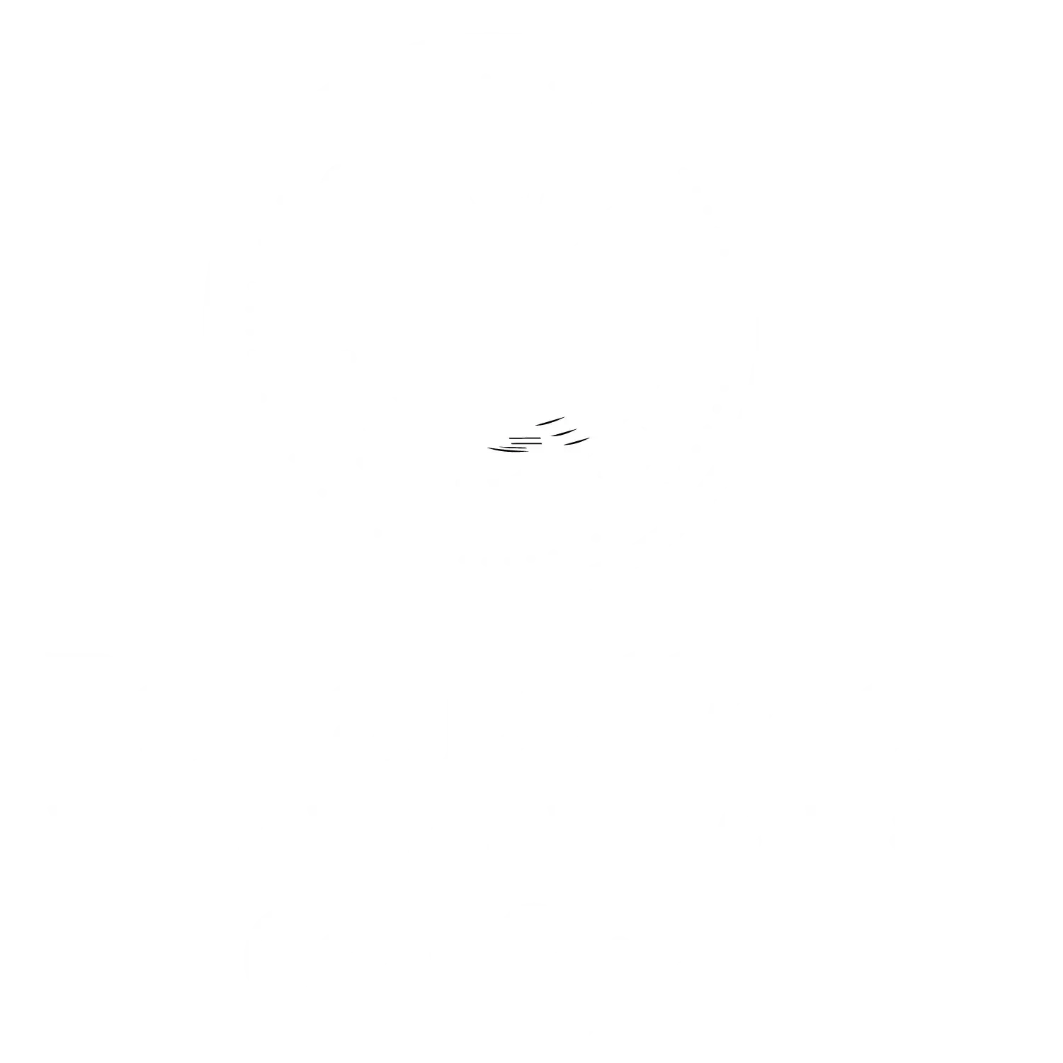 Bahía Ballena Experiences